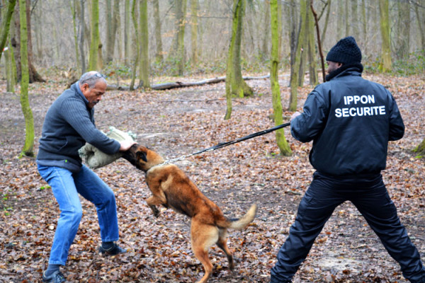 Maitre chien à meudon